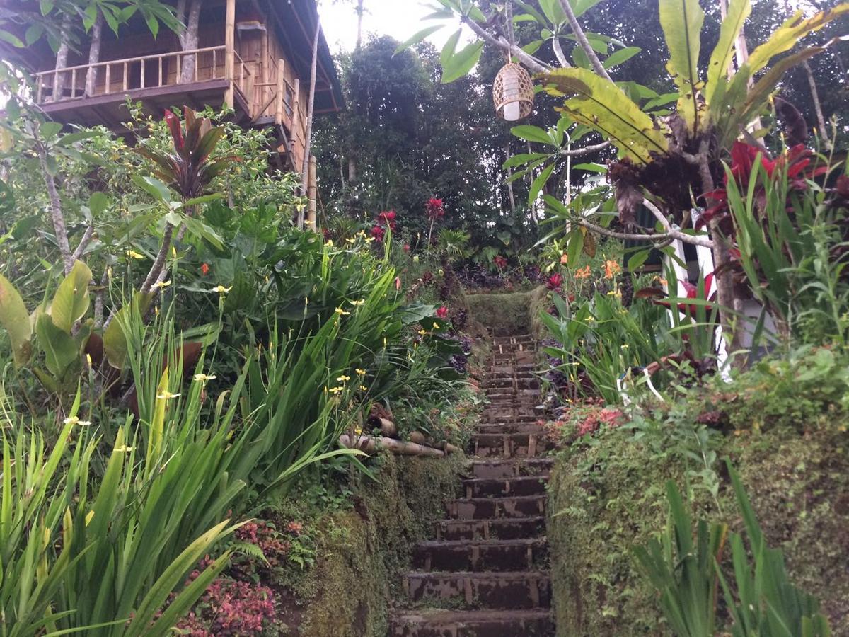 Bali Tree House Pelangi Apartment Бедугул Екстериор снимка