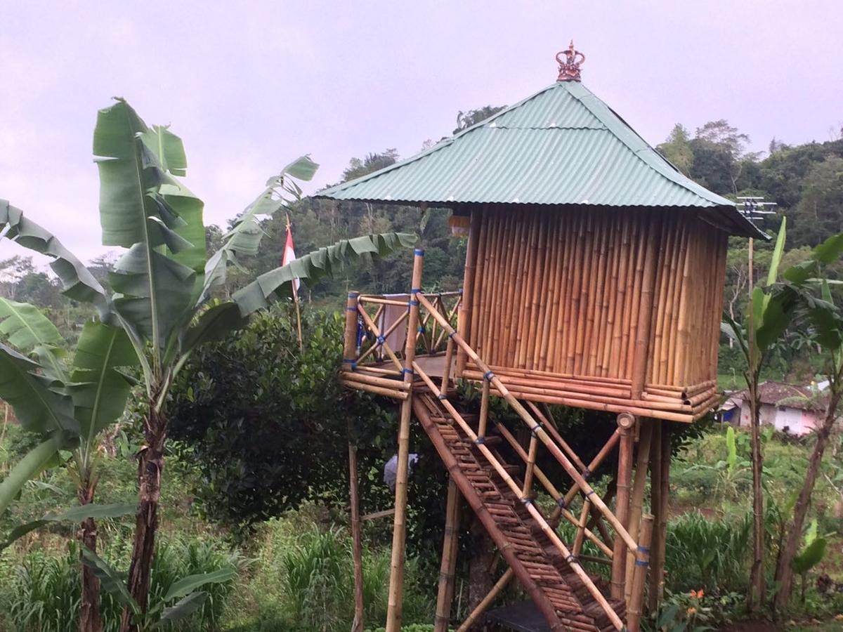 Bali Tree House Pelangi Apartment Бедугул Екстериор снимка