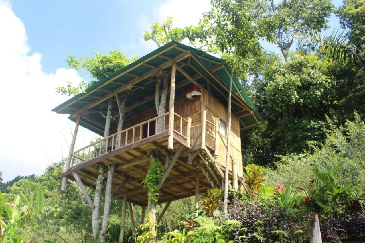 Bali Tree House Pelangi Apartment Бедугул Екстериор снимка