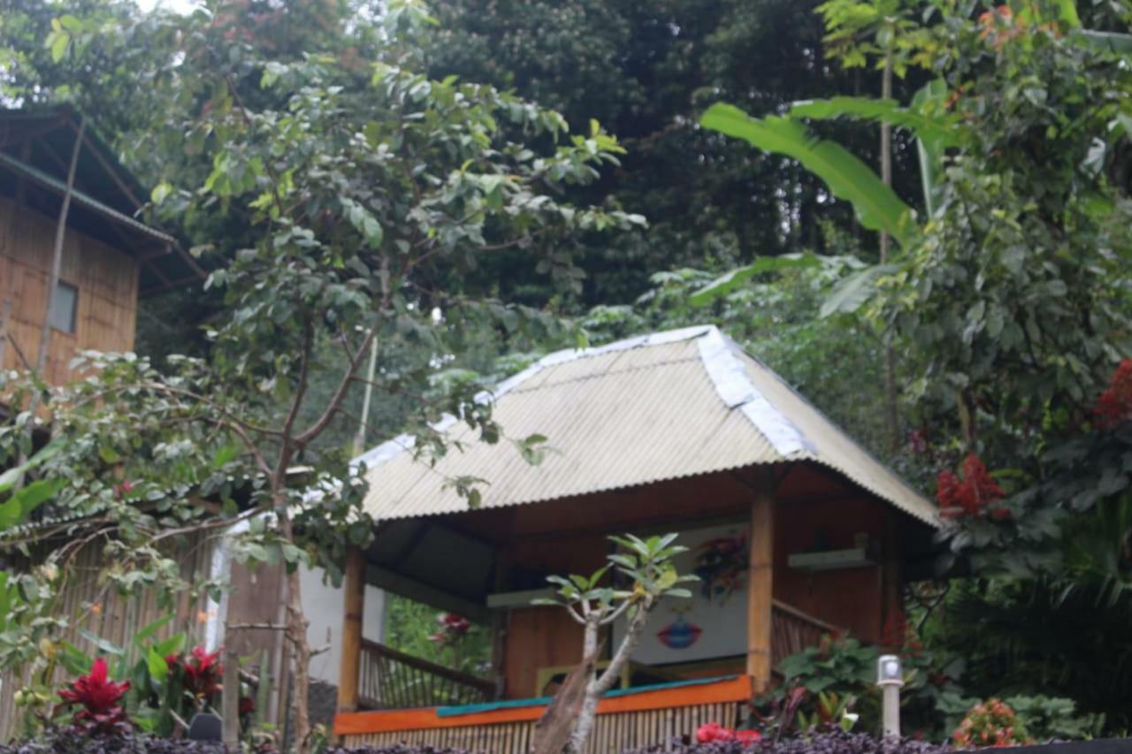 Bali Tree House Pelangi Apartment Бедугул Екстериор снимка