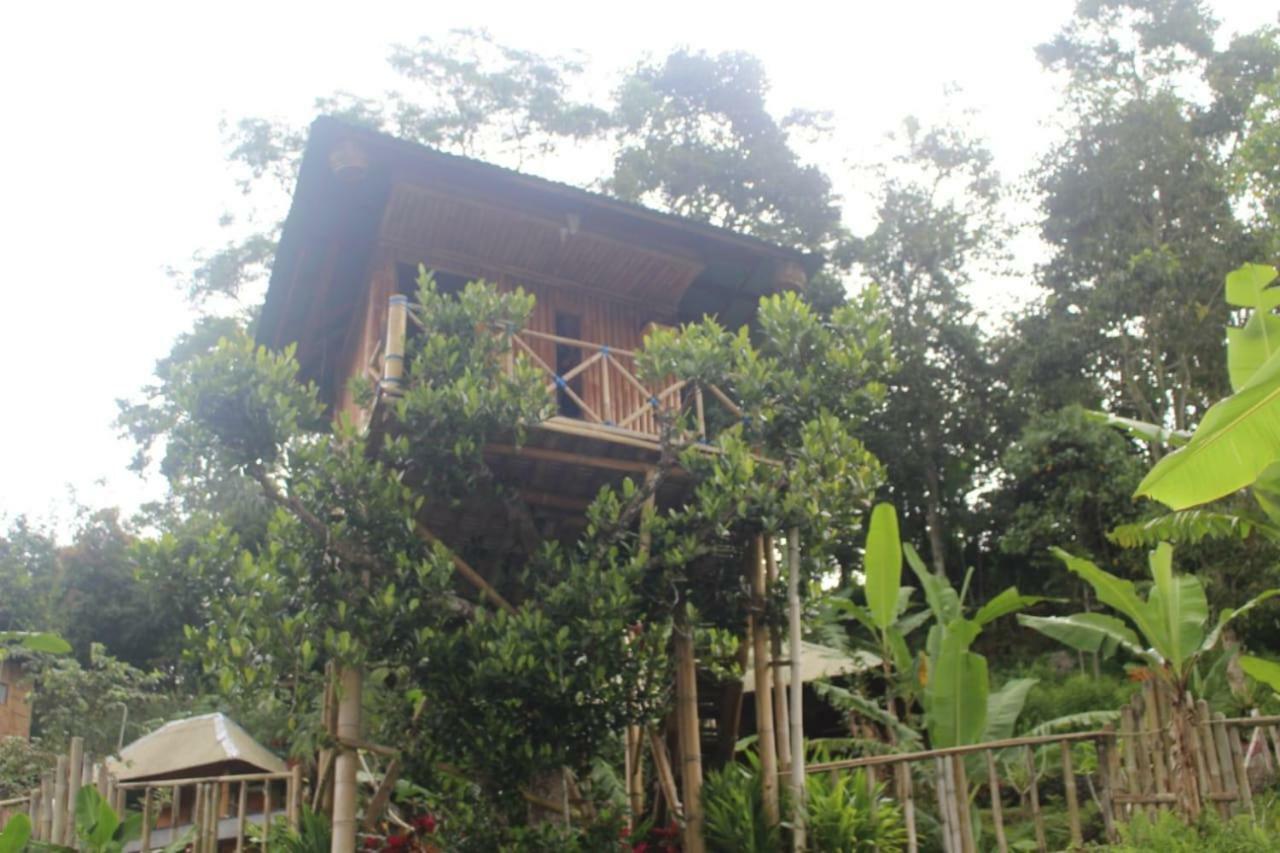 Bali Tree House Pelangi Apartment Бедугул Екстериор снимка