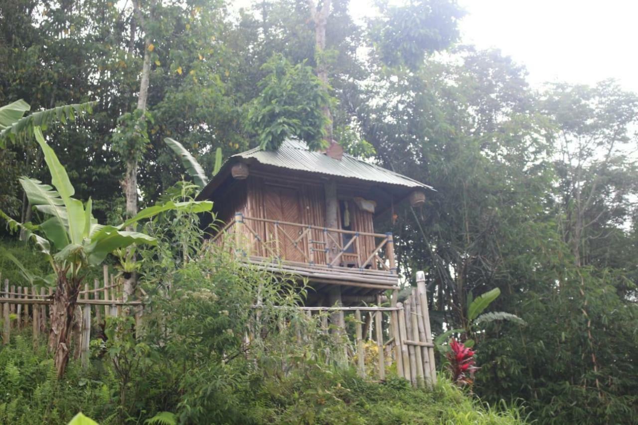 Bali Tree House Pelangi Apartment Бедугул Екстериор снимка