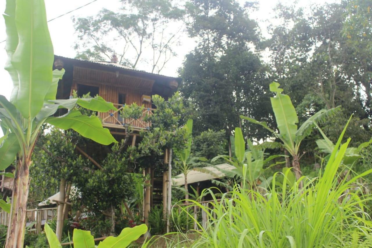 Bali Tree House Pelangi Apartment Бедугул Екстериор снимка