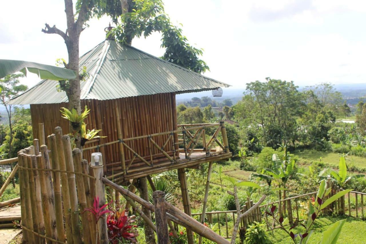 Bali Tree House Pelangi Apartment Бедугул Екстериор снимка