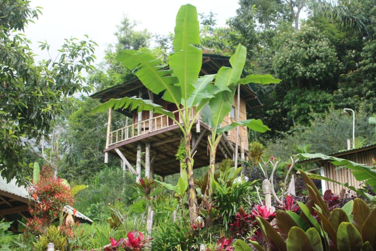 Bali Tree House Pelangi Apartment Бедугул Екстериор снимка