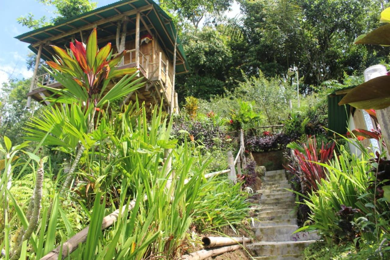 Bali Tree House Pelangi Apartment Бедугул Екстериор снимка