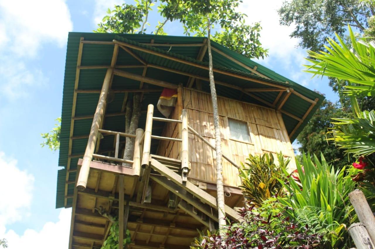 Bali Tree House Pelangi Apartment Бедугул Екстериор снимка