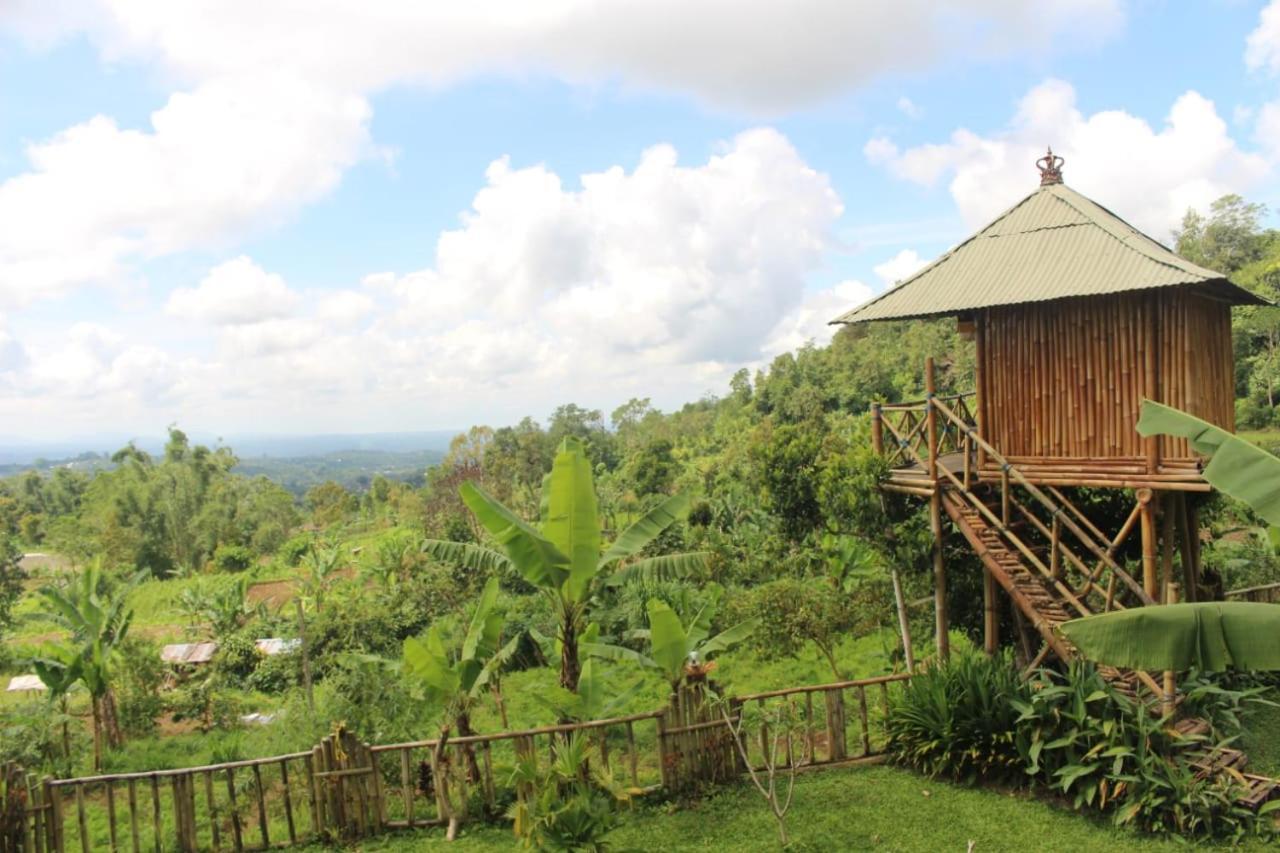 Bali Tree House Pelangi Apartment Бедугул Екстериор снимка