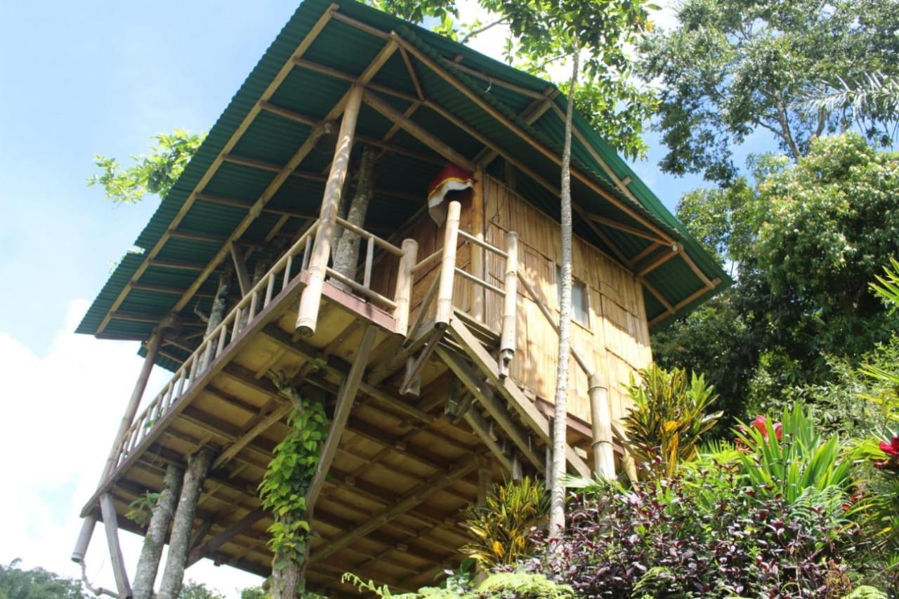 Bali Tree House Pelangi Apartment Бедугул Екстериор снимка