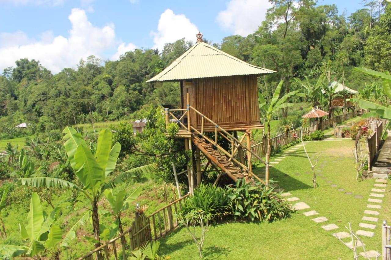 Bali Tree House Pelangi Apartment Бедугул Екстериор снимка