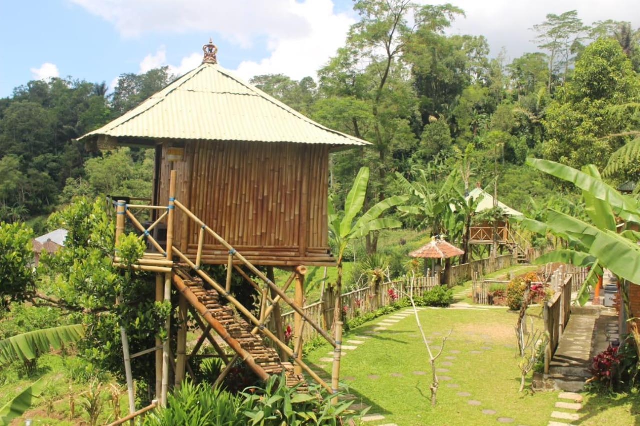 Bali Tree House Pelangi Apartment Бедугул Екстериор снимка